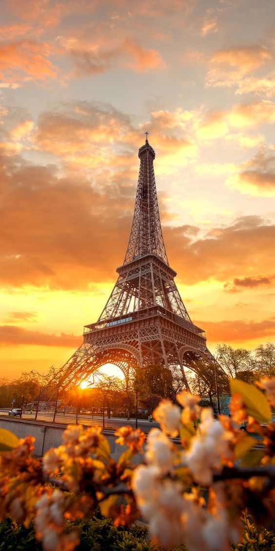 torre-eiffel-paris-rvd-na-franca
